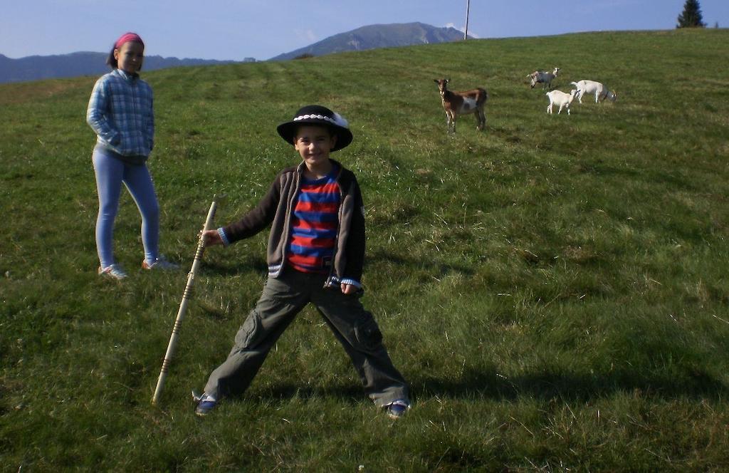 Penzion Deny Ždiar المظهر الخارجي الصورة